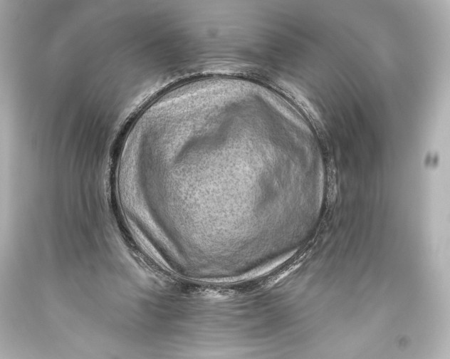 X0000093470346200711021237