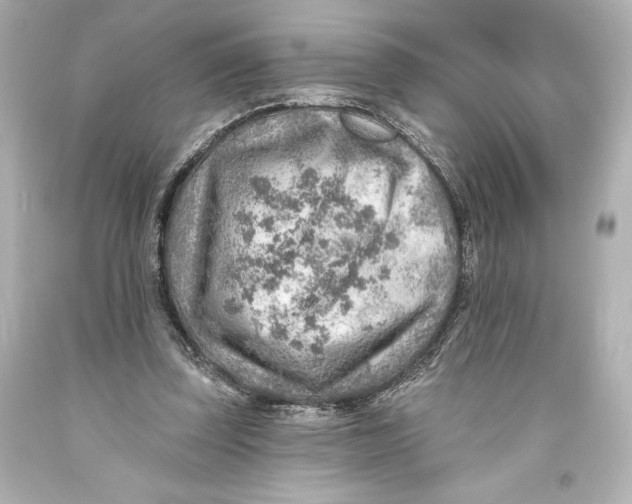 X0000093470347200711021237