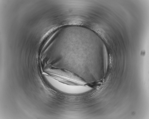 X0000093470348200711021237