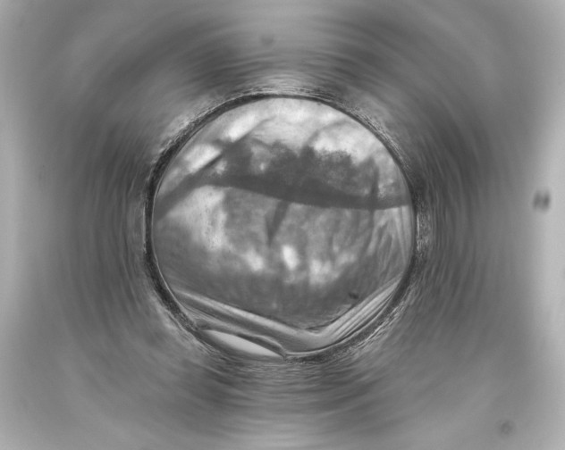 X0000093470349200711021237