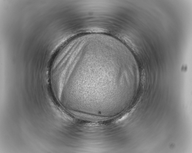 X0000093470351200711021237