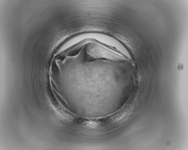 X0000093470352200711021237