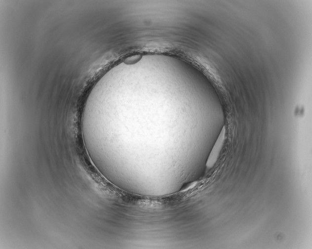 X0000093470354200711021237