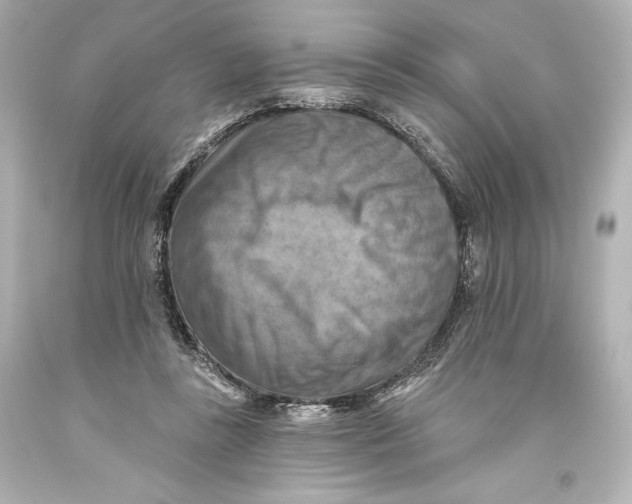 X0000093470355200711021237