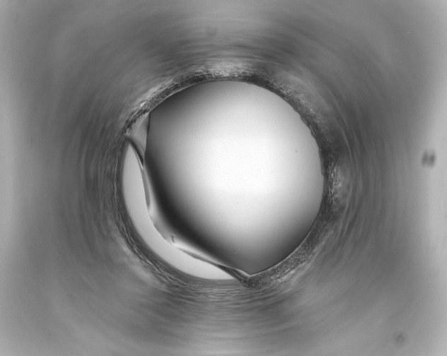 X0000093470356200711021237