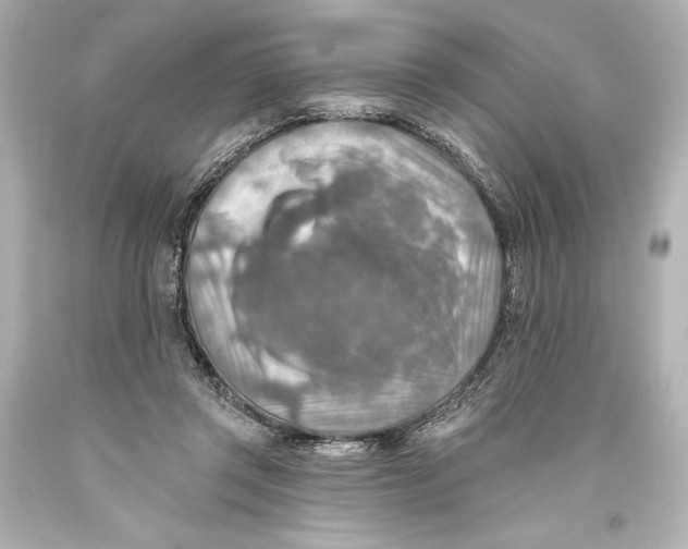 X0000093470357200711021237