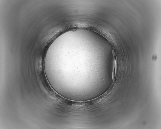 X0000093470358200711021238