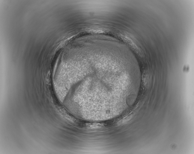 X0000093470359200711021238