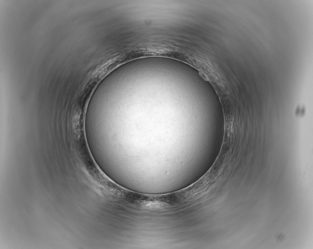 X0000093470360200711021238