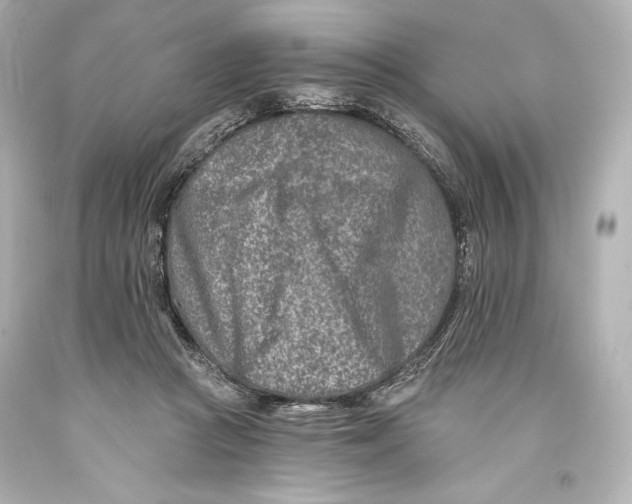 X0000093470361200711021238