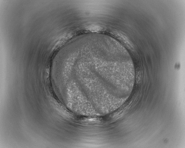 X0000093470365200711021238