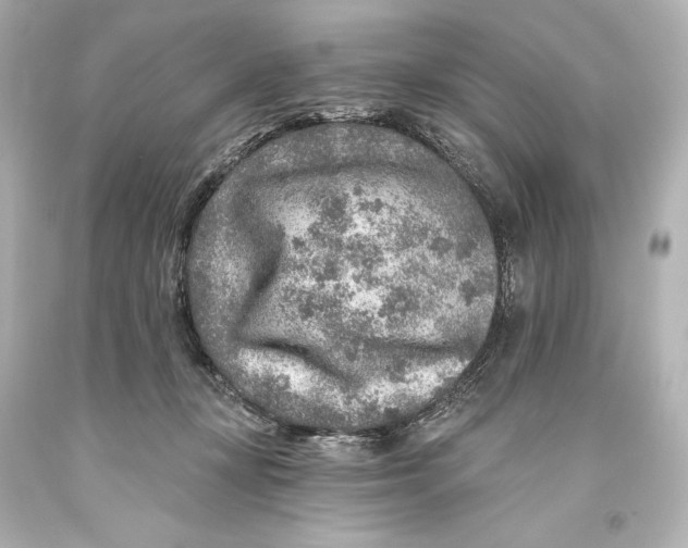 X0000093470367200711021238