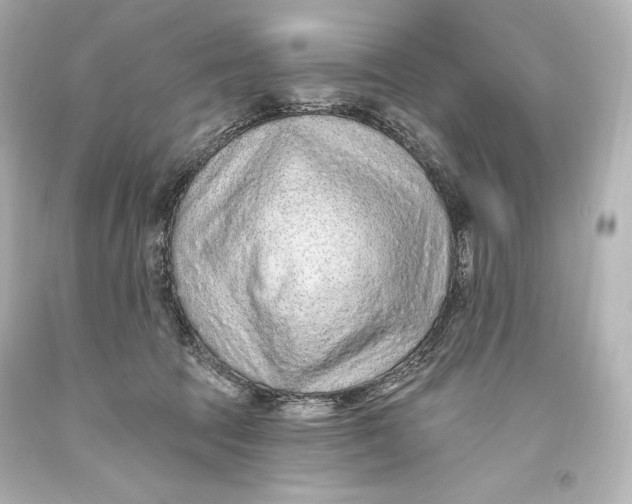 X0000093470369200711021238