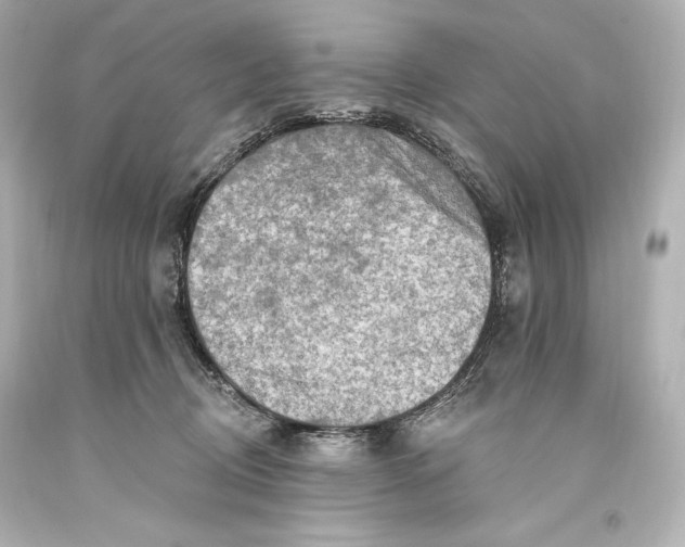 X0000093470370200711021238