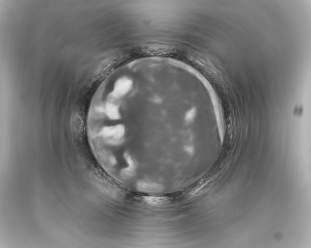 X0000093470371200711021238