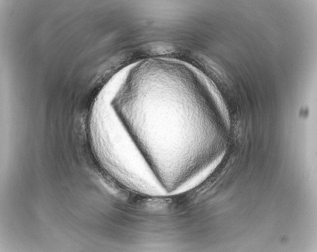 X0000093470373200711021238