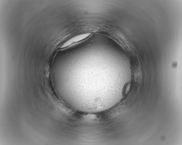 X0000093470374200711021238