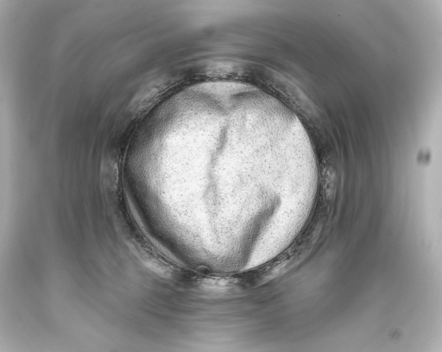 X0000093470375200711021238