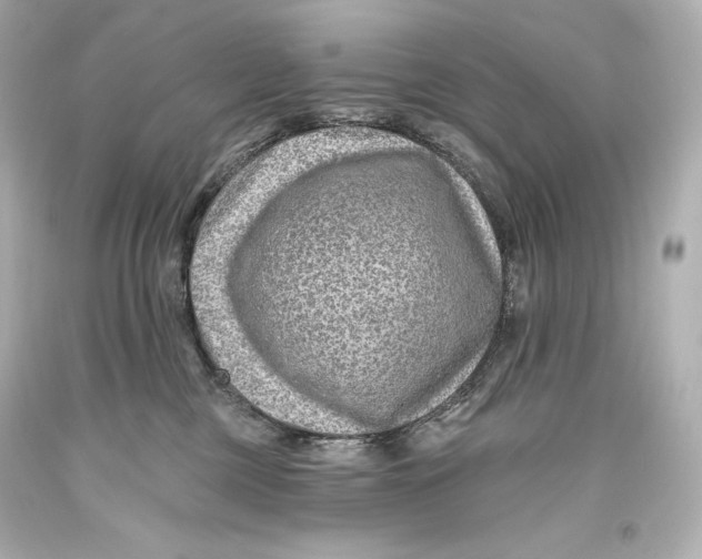 X0000093470377200711021238