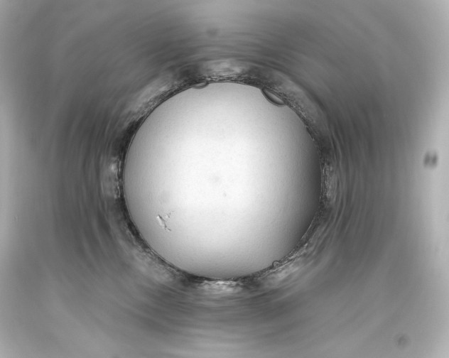 X0000093470378200711021238