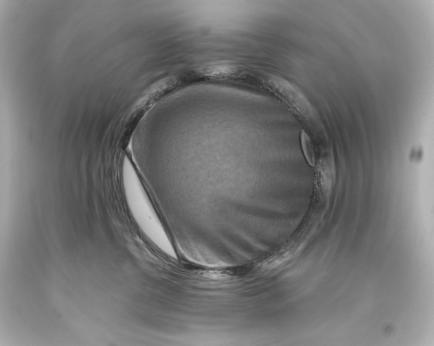 X0000093470380200711021238