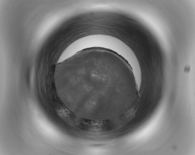 X0000093470382200711021238