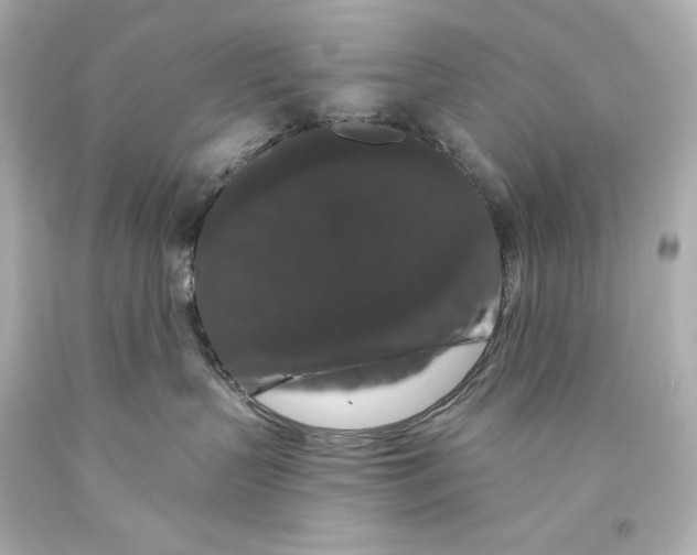 X0000093470383200711021238