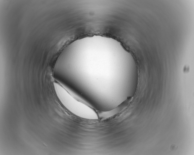 X0000093470384200711021238