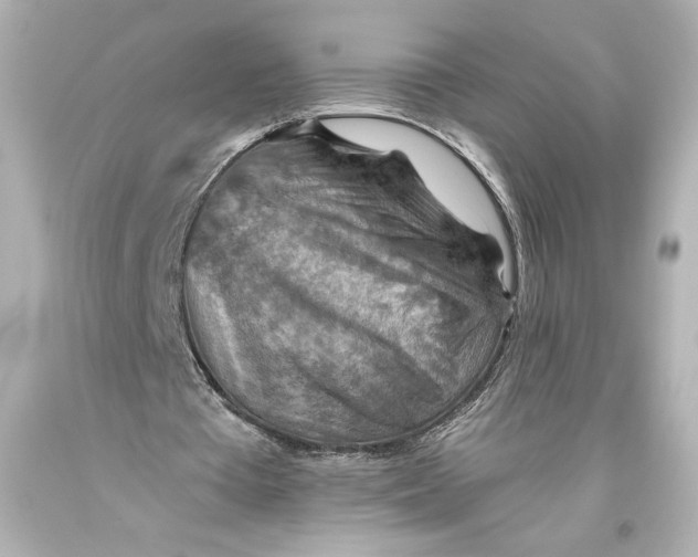 X0000093470385200711021237