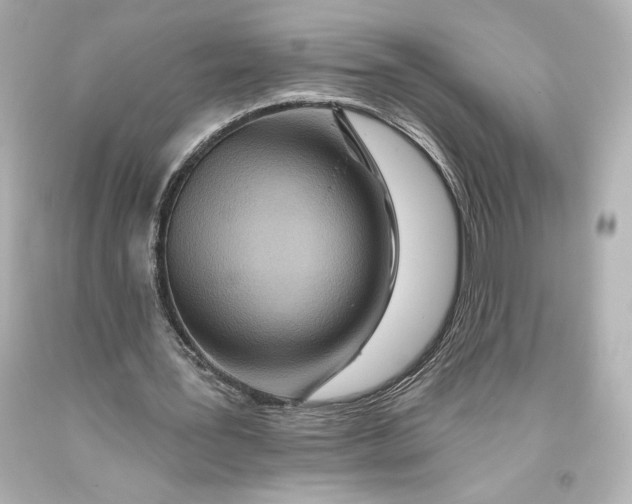 X0000093470387200711021237