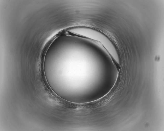 X0000093470388200711021237