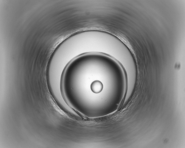 X0000093470389200711021237