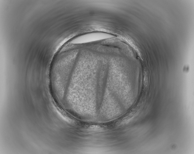 X0000093470390200711021237