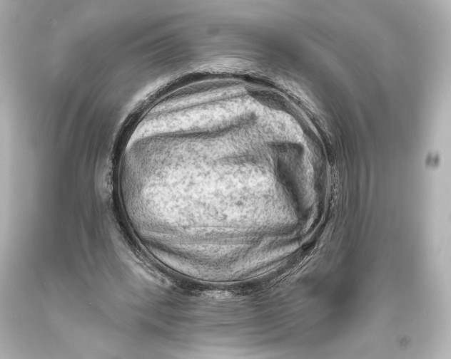 X0000093470392200711021237