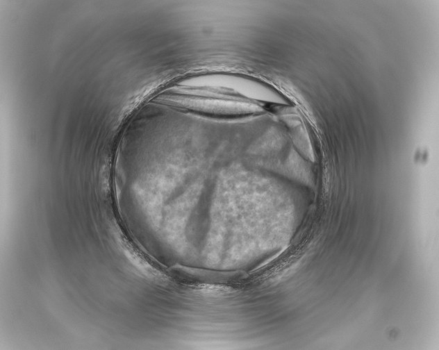 X0000093470393200711021237