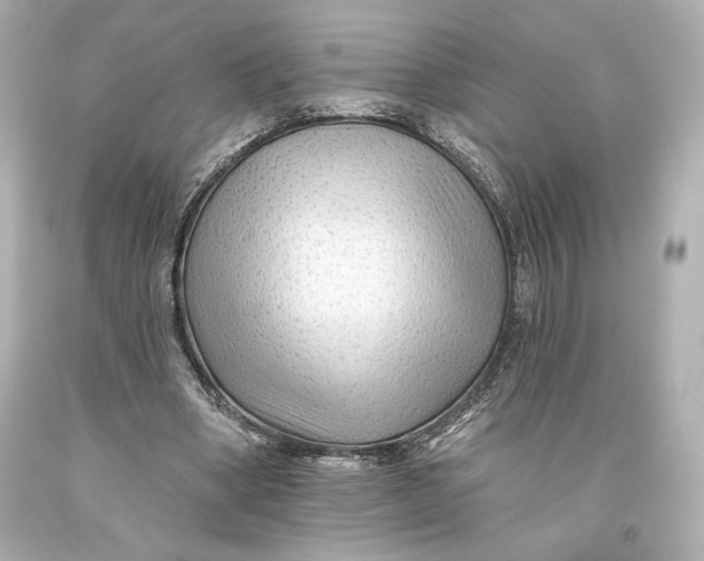 X0000093470394200711021237