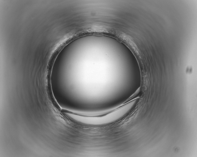 X0000093470395200711021237