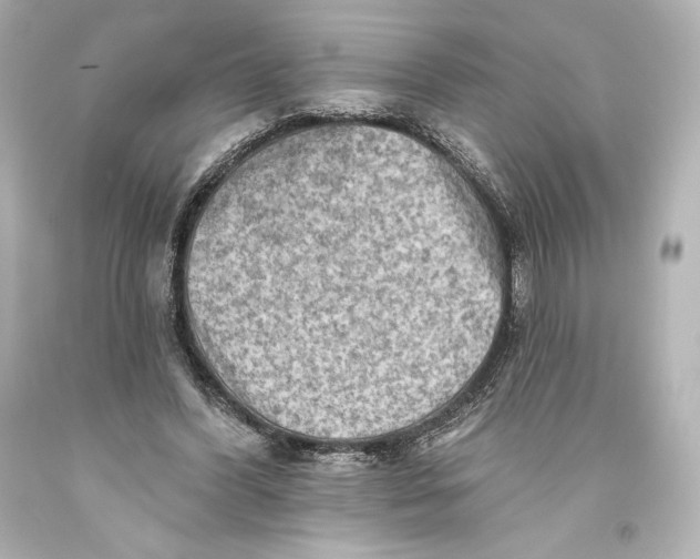 X0000093470396200711021237