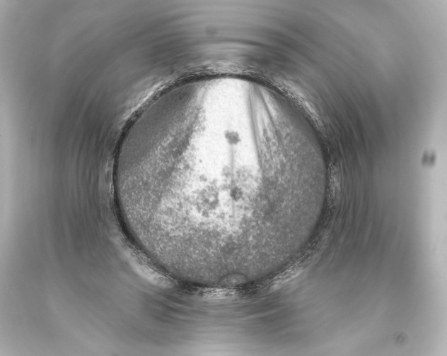 X0000093470398200711021237