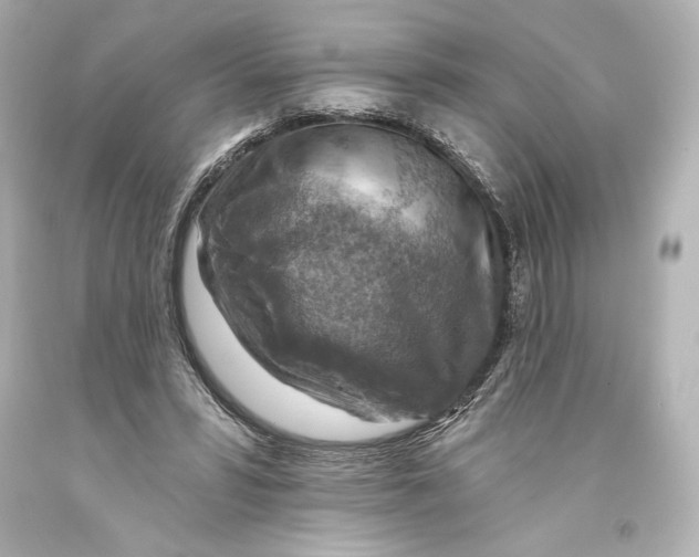 X0000093470399200711021237