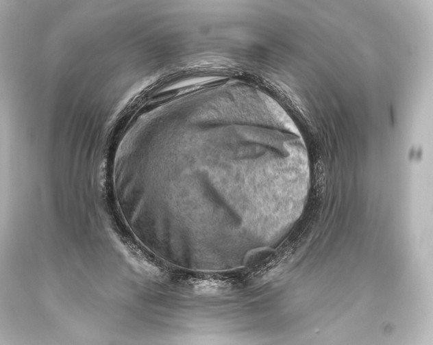 X0000093470400200711021237