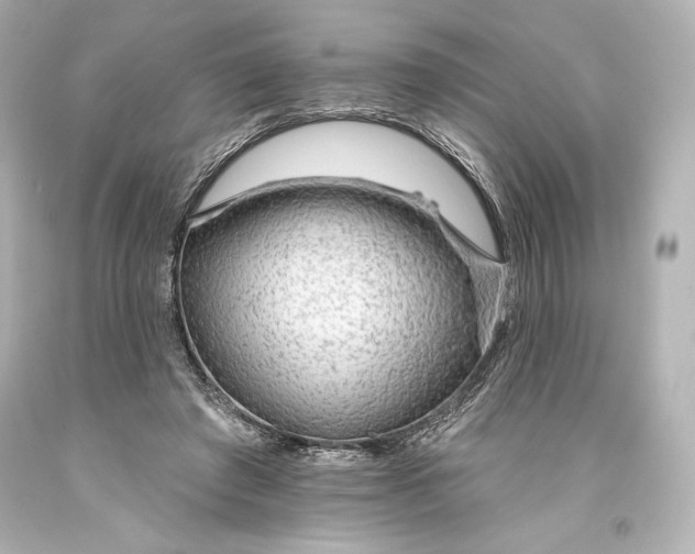 X0000093470401200711021237