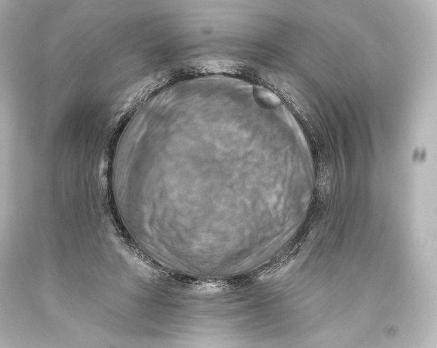 X0000093470402200711021237