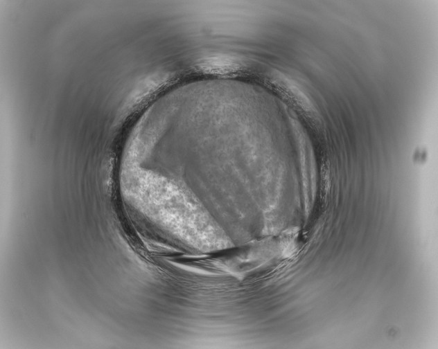 X0000093470404200711021237