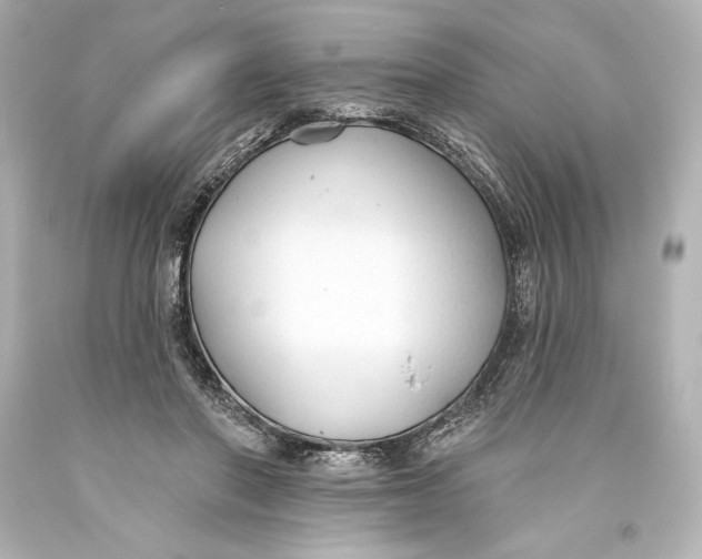 X0000093470406200711021237