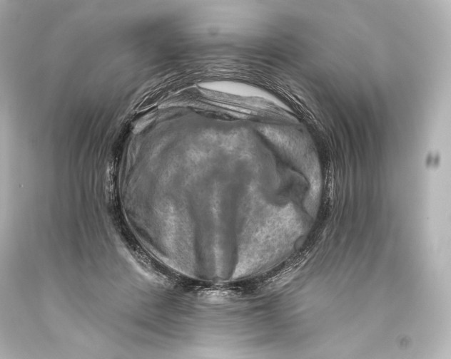 X0000093470408200711021237