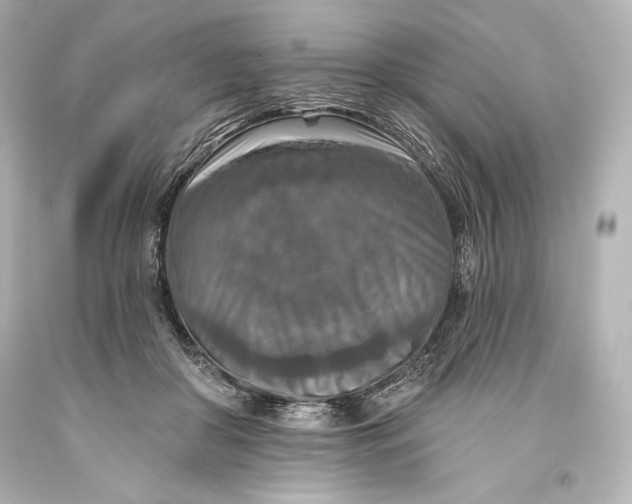 X0000093470410200711021237