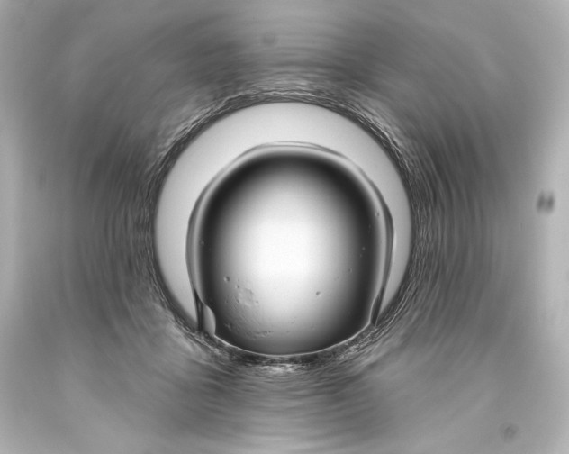 X0000093470411200711021237