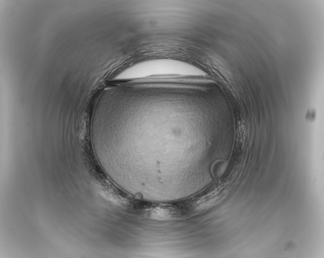 X0000093470412200711021237