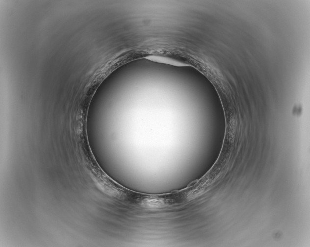 X0000093470413200711021237